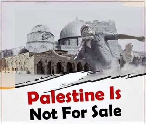 Plan Trump : la Palestine n’est pas à vendre